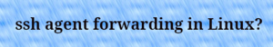 Read more about the article How to perform ssh agent forwarding for git clone using ssh authentication?