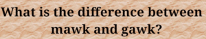 Read more about the article What is the difference between mawk and gawk?