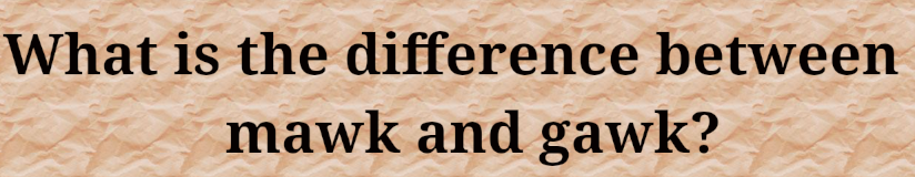 You are currently viewing What is the difference between mawk and gawk?